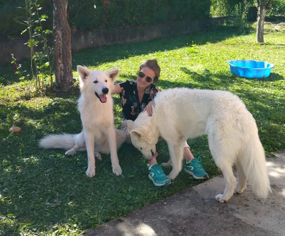 Garde de chiens à domicile à Pers-Jussy