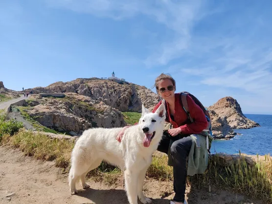 Dog-walking chien blanc